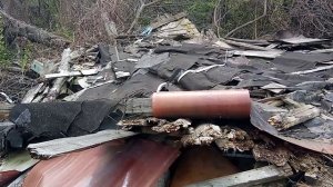 заброшеная деревня. 6