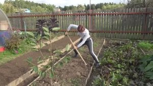6 соток 8 сентября 2021 год. Хроника