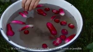 Искусство неторопливой деревенской жизни.