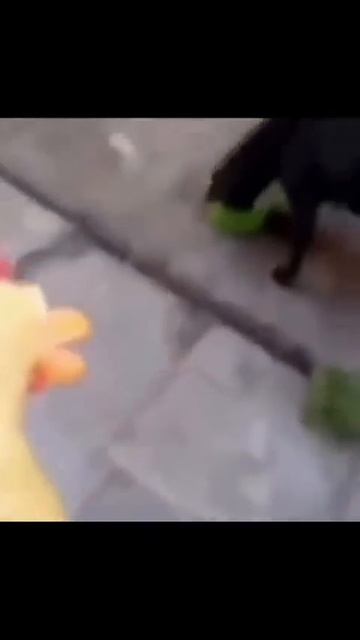 Видео от Департамент Кринжовых Видосов | ДКВ