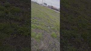 1000154200.mp4