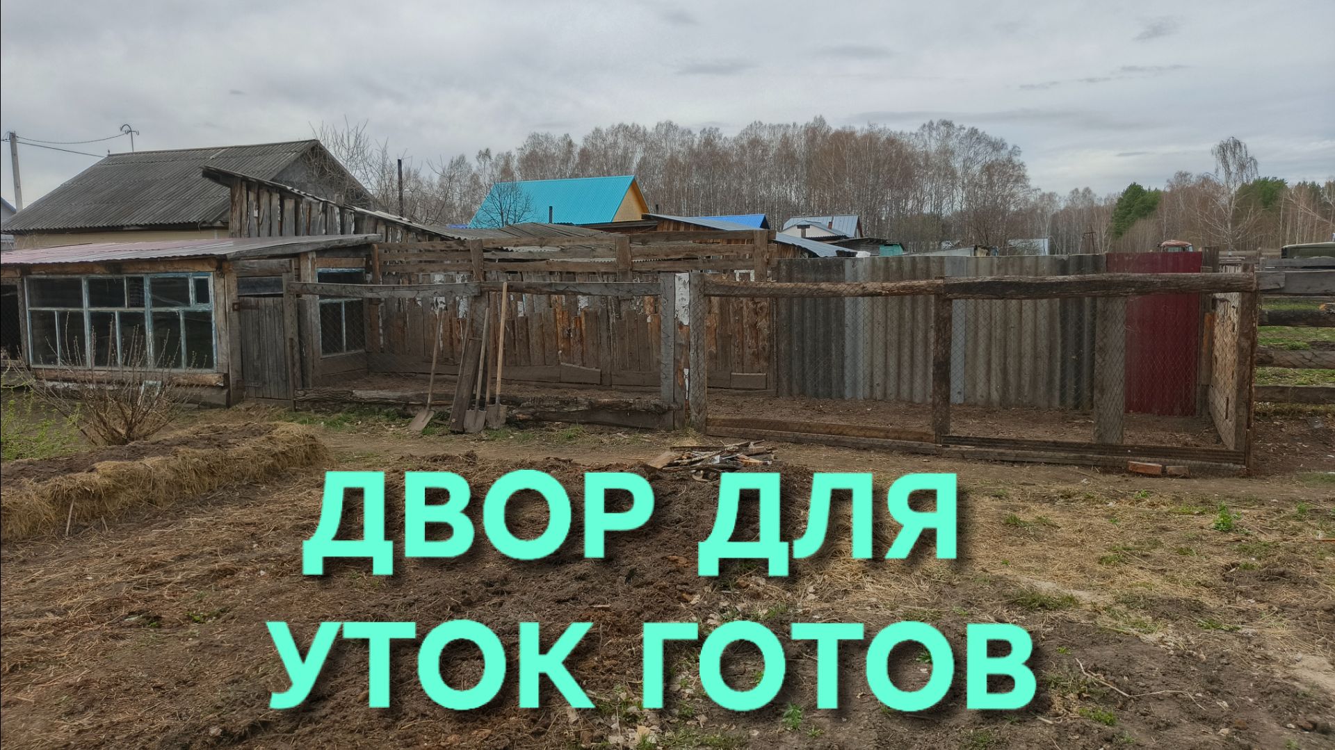 Жизнь в деревне Двор для уток готов осталось только купить утят