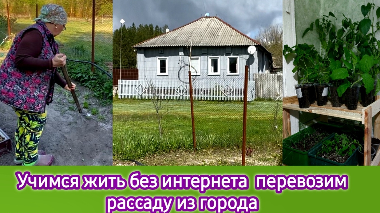 Учимся жить без интернета. Перевозим рассаду из города