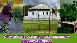 Учимся жить без интернета. Перевозим рассаду из города