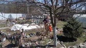 Обработка деревьев в мае. Вторая обработка сада.