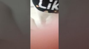 VID_20260501_193518.mp4