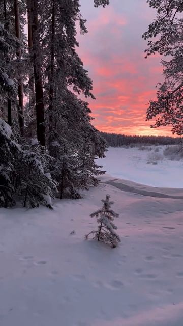 Закат на Белохолуницком пруду, который местные жители и фотографы называют «вятским морем»