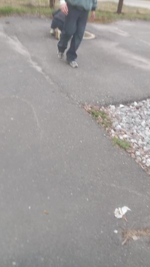 лялч
