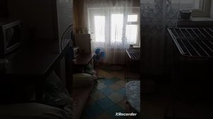 Квартира в которой проживаем  я и мая бабушка и наш кот,на данное время продаем,подробн в описан🌿🪴