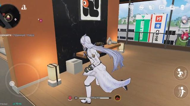2937.mp4
