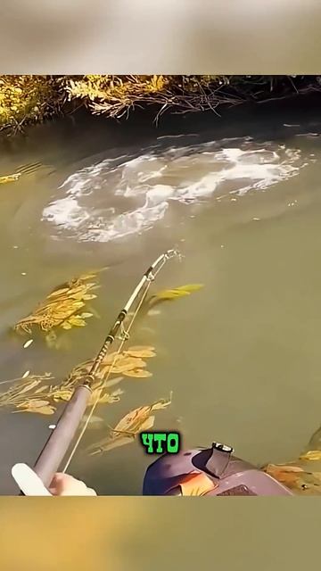 ВЫТАЩИЛ РЕЧНОГО МОНСТРА ВЕСОМ 150 КГ 🎣🐟