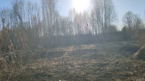 28 апреля. Потихоньку наводим порядок на участке.