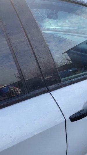 Civic22