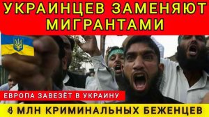В Украину везут миллионы неудобных мигрантов. Колобок из Одессы