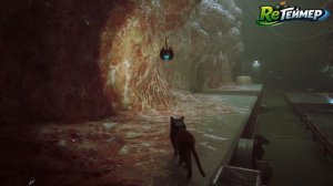 Прохождение: Stray. Часть 4