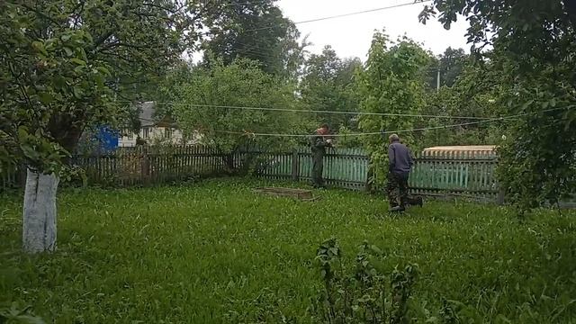 ЕСТЬ НАЧАЛО, ЛЕС ДЛЯ ПОЛА. АРХИВ 19-Й ГОД.