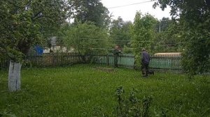 ЕСТЬ НАЧАЛО, ЛЕС ДЛЯ ПОЛА. АРХИВ 19-Й ГОД.