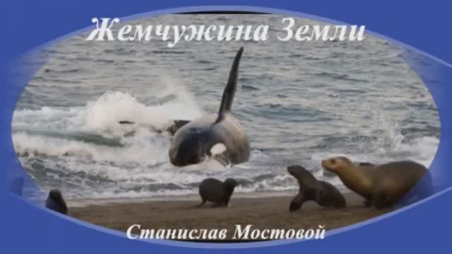 Жемчужина Земли