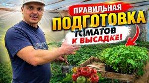 ПРАВИЛЬНАЯ ПОДГОТОВКА К ВЫСАДКЕ РАССАДЫ ТОМАТОВ!
