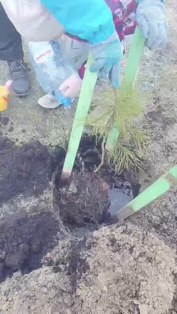 Субботник