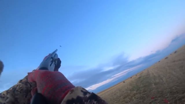 Моменты с Охоты на гуся в Казахстане. Подборка