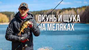 Окунь и щука на меляке. Секрет спиннинговой проводки в толще воды весной. Пелагический джиг.