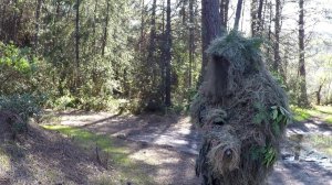 Маскировочный костюм снайпера. Изготовление и обкатка (Я - Prepper)