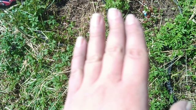 уборка заброшенного дома 6 серия