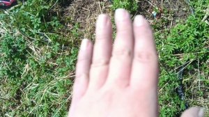 уборка заброшенного дома 6 серия