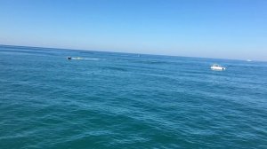 море