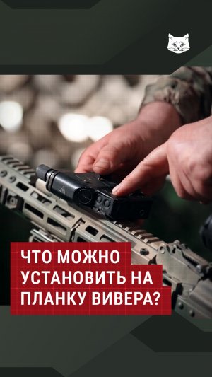 Что можно установить на планку Вивера? #автомат #калаш #инструктор