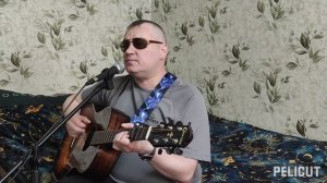 Много лиц у женщин милых/В.Маляренко— С.Кузнецов/.