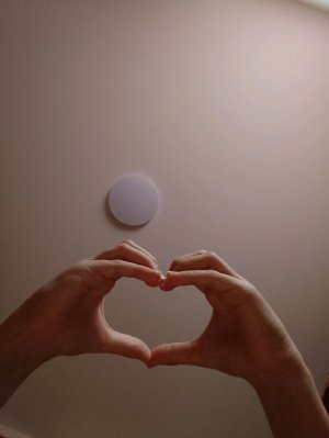 л