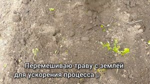 Готовим грядку под посадку огурцов