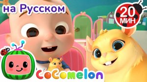 Кто возьмёт хомяка домой#🐱🎶  # CoComelon на русском — Детские песенки