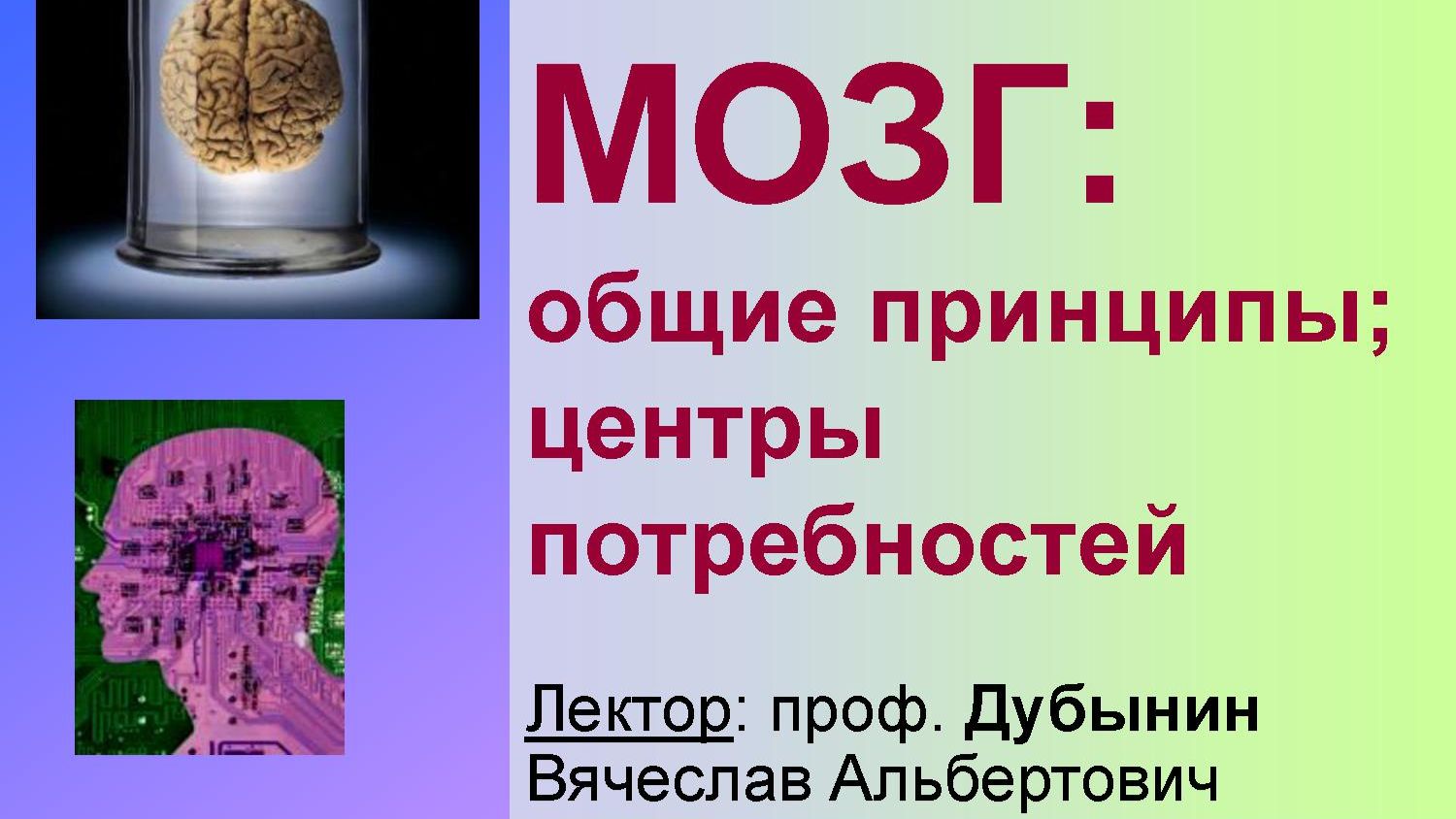 Физиология потребностей 8 - Агрессия