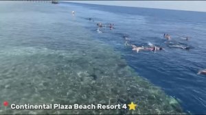 Continental Plaza Beach Resort 4 ⭐️ в Египте. Часть 2.