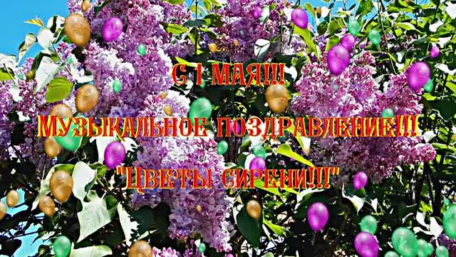С 1 МАЯ!!! Музыкальное поздравление Цветы сирени 1 от Киностудии Мудрого Кота Тимофея!