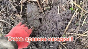 От таких находок у меня помутнело сознание!!!
