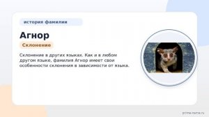 Полное руководство по фамилии Агнор: история, значения и склонение