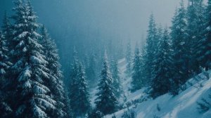 Если спросите, совру