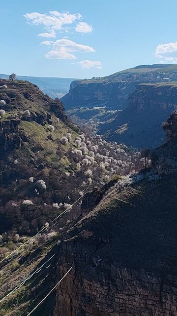 Художник. Как рождаются шедевры 🏞