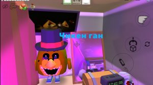 SVID_20260501_134802_1.mp4