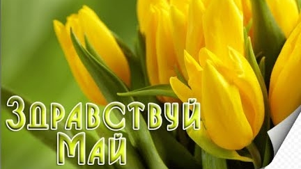 Прощай апрель,здравствуй май. С 1 мая. Красивая музыкальная открытка
