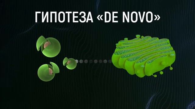 Биороботы внутри клетки.