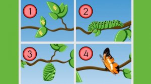 Learn Fun Facts about BUGS for Kids! With Gus the Gummy Gator!