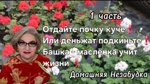 1 часть. Отдайте почку куче❗️Или деньжат подкиньте❗️Башка - маслёнка учит жизни❗️