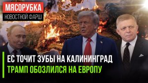 НАТО не сможет захватить Калининград || Европа взбесила Трампа || Фицо открыл тайну Европы