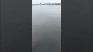 рыбалка на Воронежском водохранилище!!! на поплавок!!! часть 2