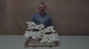 ДФ-405 Декорация для морского аквариума из биокерамики.